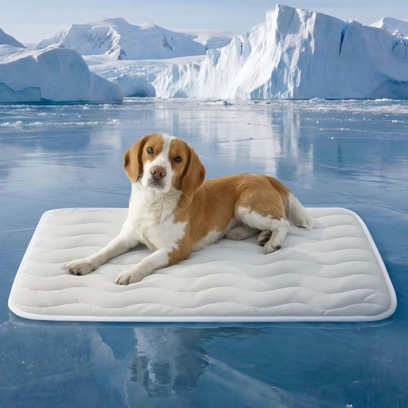 ArcticGel Cooling Pad