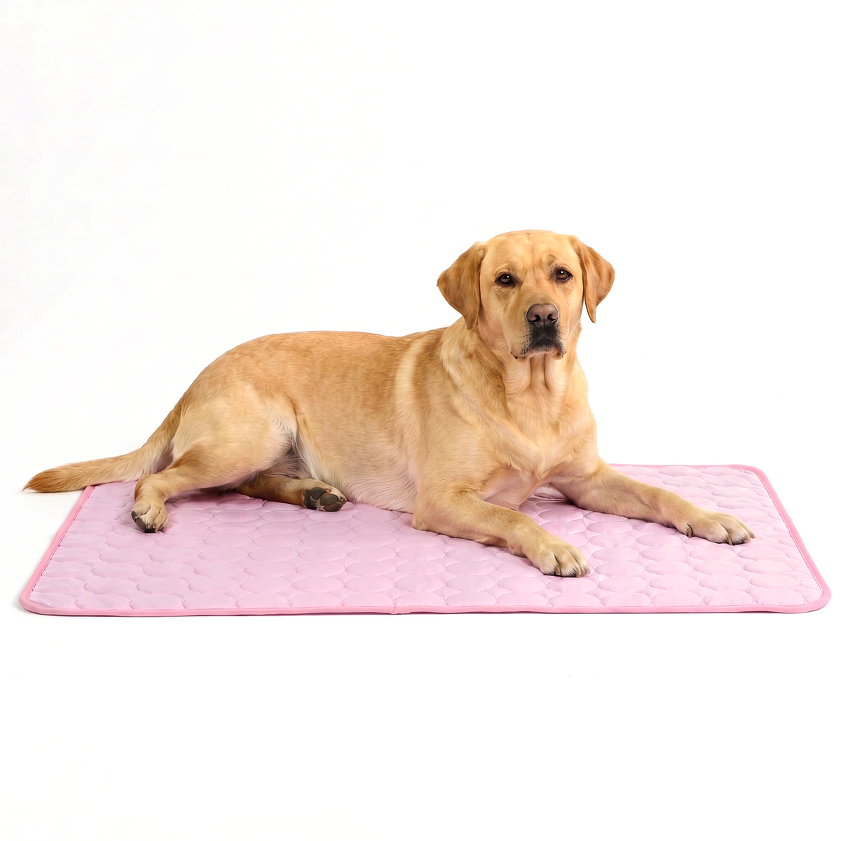 ArcticGel Cooling Pad (Copy) Exclusive