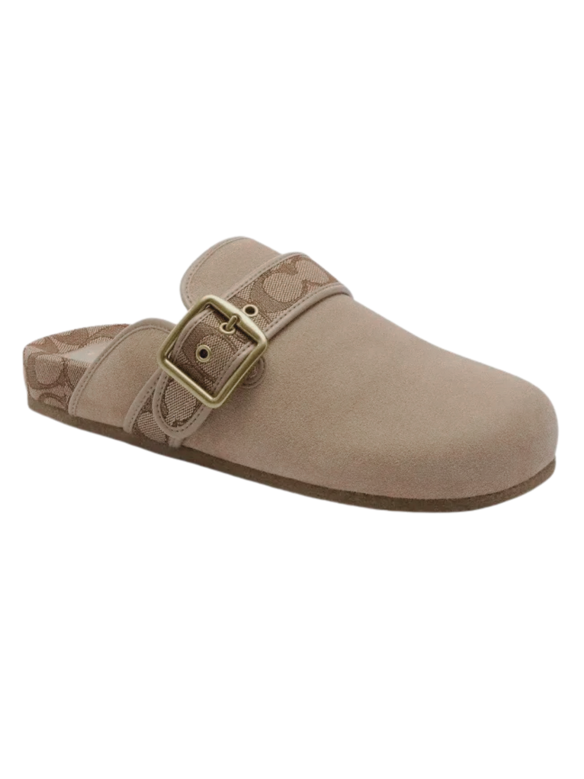 Luxury Buckle Slippers Exclusive