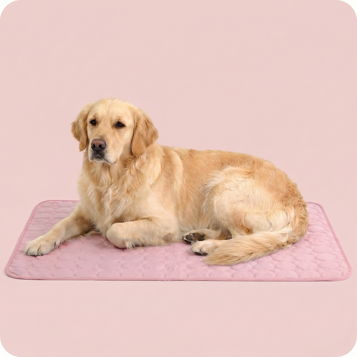 ArcticGel Cooling Pad