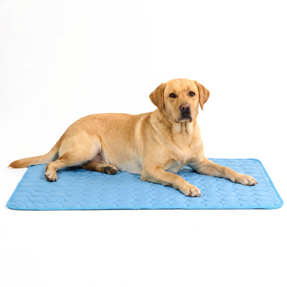 ArcticGel Cooling Pad (Copy)