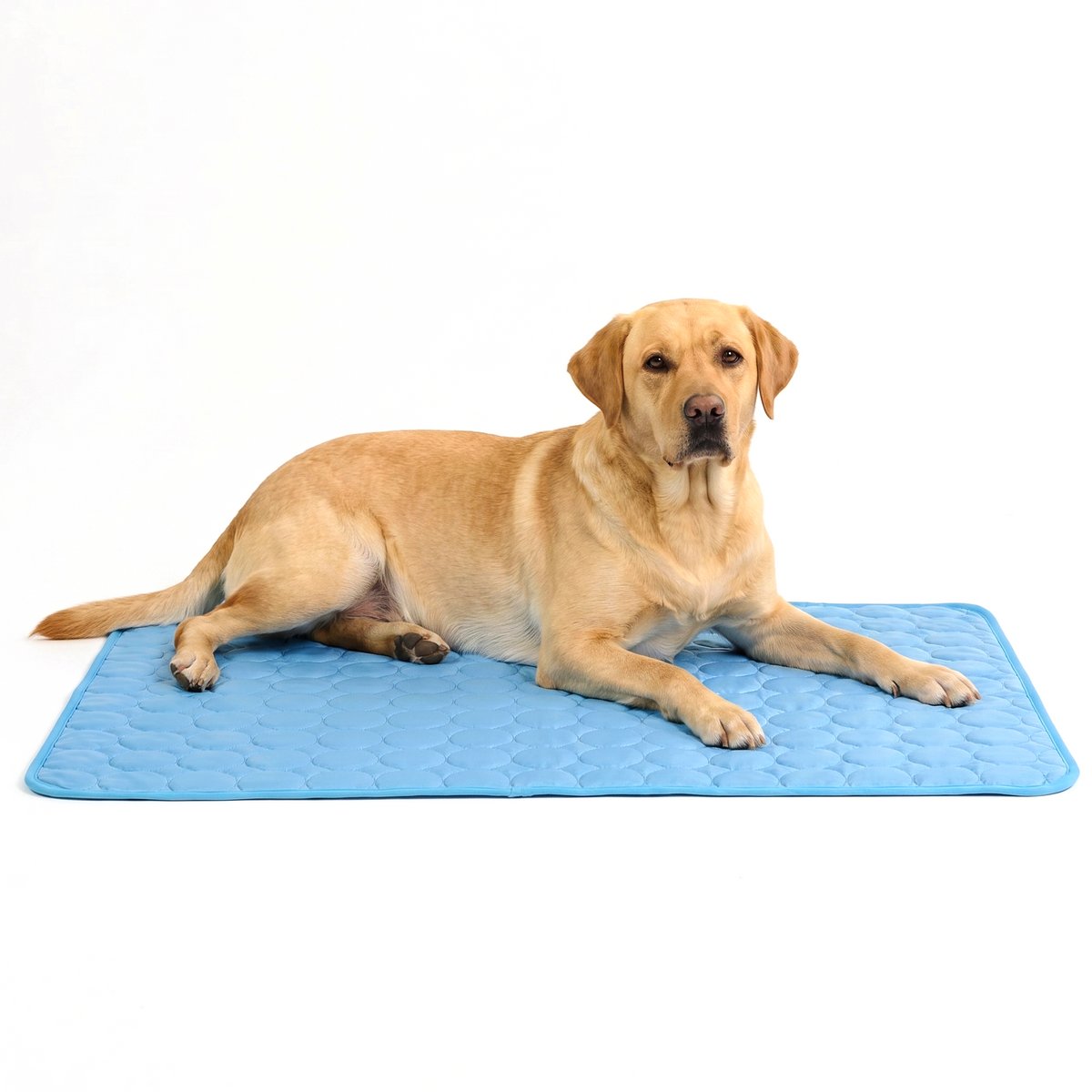 ArcticGel Cooling Pad (Copy) Exclusive