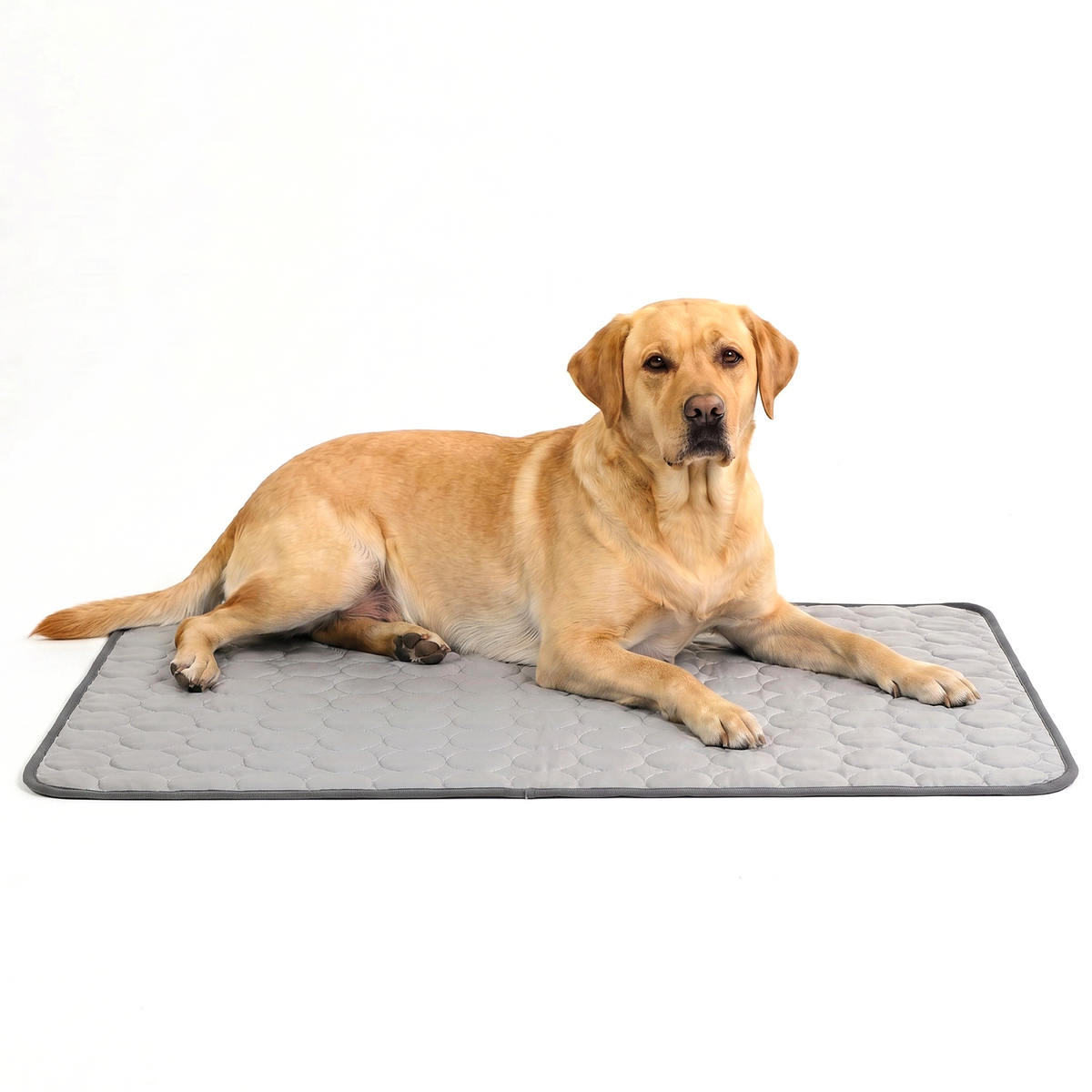 ArcticGel Cooling Pad (Copy) Exclusive