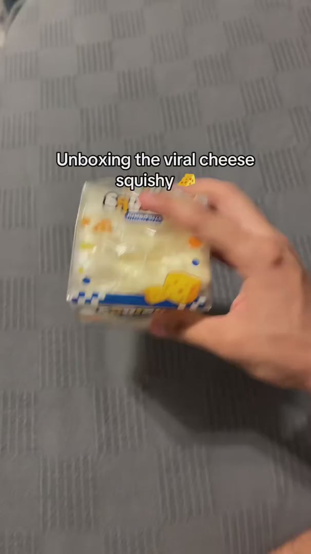 squisha-cheese-cube-squishy